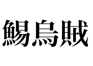 Lula-japonesa (Surume ika)