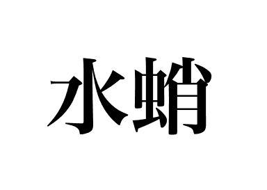 Pazifischer Riesenkrake (Mizudako)