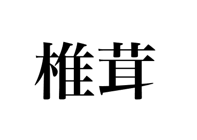 Shiitakepilz (Shitake)