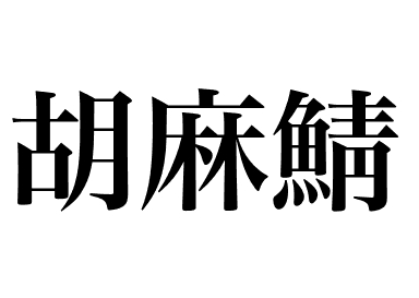 花腹鯖魚 (Gomasaba)
