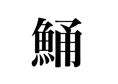 Magochi-Plattkopf (Magochi)
