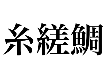 Goldstreifen-Meerbrasse (Itoyoridai)
