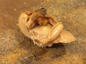 煮蛤の握り