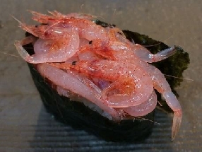 桜海老の握り