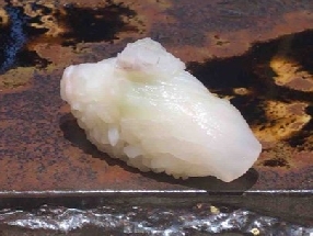星鰈の握り
