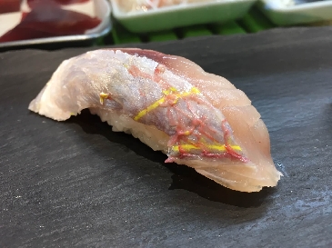 Goldstreifen-Meerbrasse (Itoyoridai)