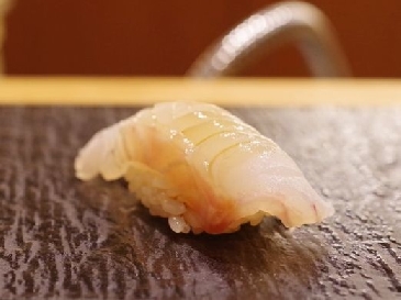 寬花鱸 (Hirasuzuki)